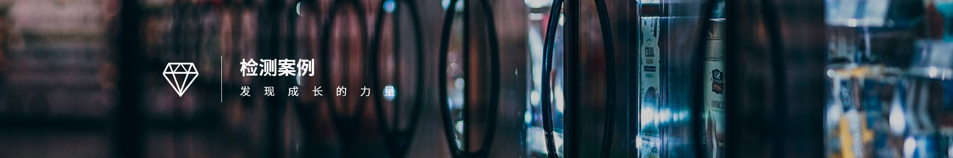 檢測案例